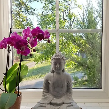 Szekely Vendeghaz 希欧福克