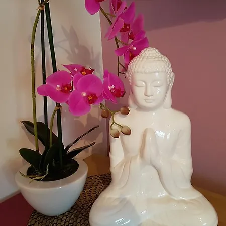 Szekely Vendeghaz 希欧福克